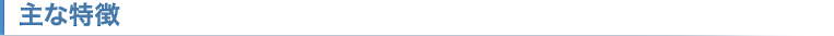 主な特徴